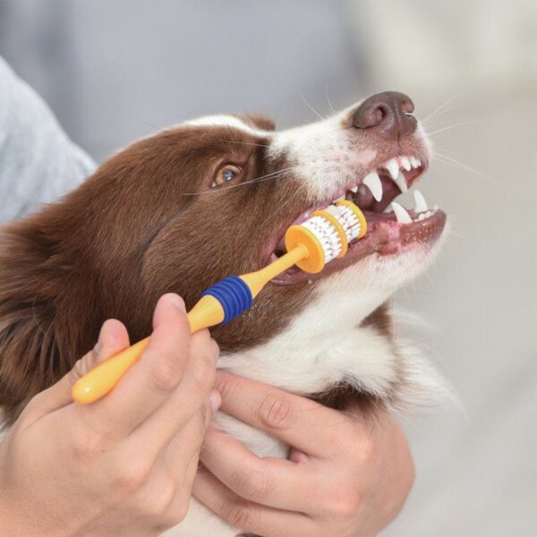 360 Degree Dog Toothbrush for Puppy Small Dog Cheap