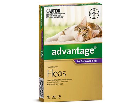 Advantage Flea  -  Cats over 4kg  -  4 pack For Cheap