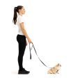 EzyDog Essential Lite Leash - Khaki Online Sale