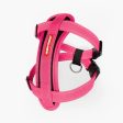 EzyDog Chest Plate Harness - Pink Sale