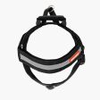 EzyDog Express Harness - Black For Cheap