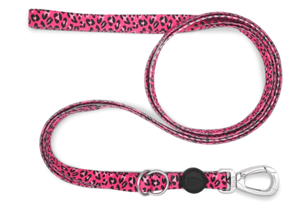 MORSO  multifunction leash Hot on Sale