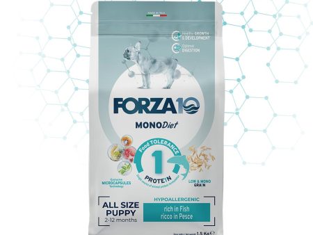 FORZA10 All Size Puppy Junior - Fish For Sale