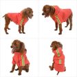 RED Dog Raincoat Sale