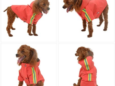 RED Dog Raincoat Sale