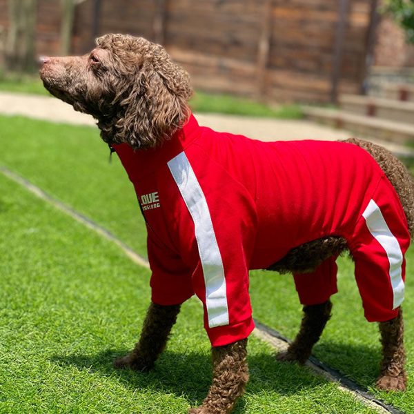 Dog Sweatshirt Zipper Dog Sport Suit Online now