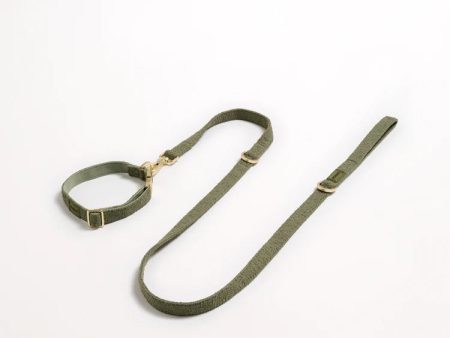 Hommey Boucle Pet Collar - Olive Discount