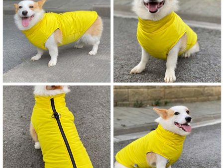 Dog Winter Vest with Cotton Lining For Discount