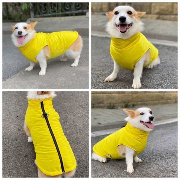 Dog Winter Vest with Cotton Lining For Discount