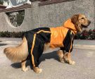 Dog Raincoat Discount