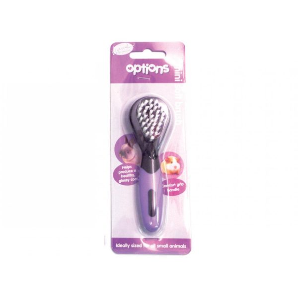 Options Bristle Brush Online Sale