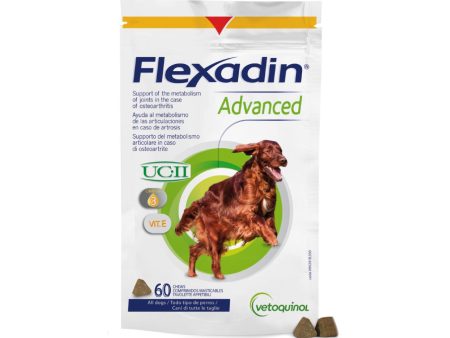 Flexadin Advance Chew Tablet for Dogs Online