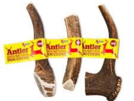 Antos Antler Natural Dog Chew Hot on Sale