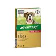 Advantage Flea  -  Dogs 10-25kg  -  4 pack Online Sale