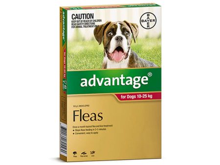 Advantage Flea  -  Dogs 10-25kg  -  4 pack Online Sale