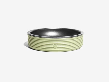 Zee.Cat Duo Bowl - Olive Cheap