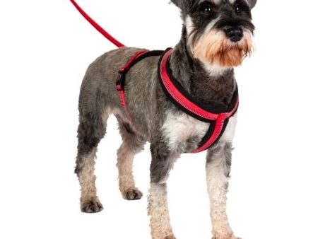 Halti Comfy Dog Harness Sale