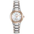 Citizen Eco-Drive Chandler Women s Watch Discount