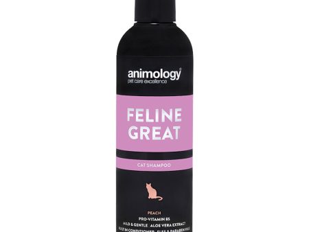 Animology Feline Great Cat Shampoo 250ml Online now