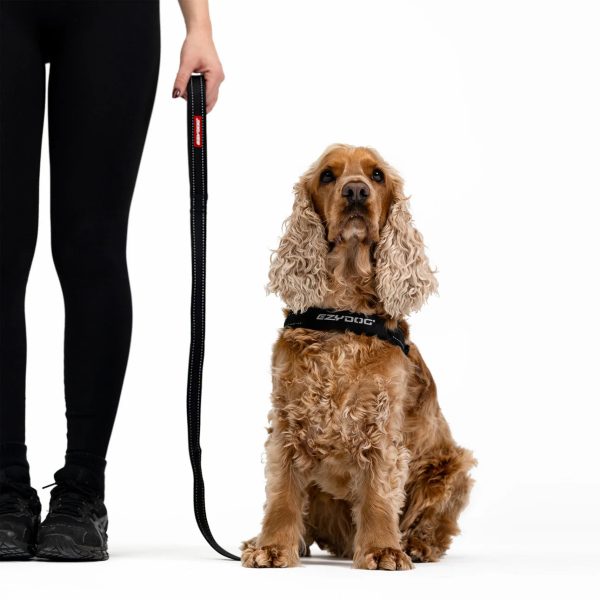 EzyDog Essential Leash - Black For Discount