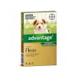 Advantage Flea  -  Dogs up to 4kg  -  4 pack Online