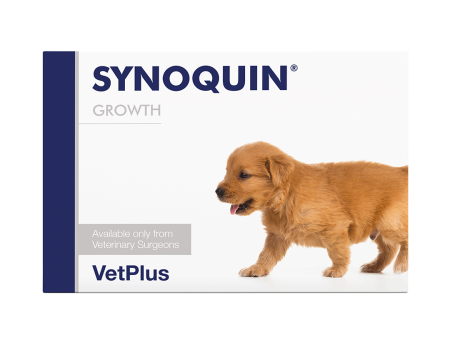 Synoquin Growth EFA Joint Supplement for Growing Puppies (60 capsules) For Cheap