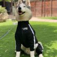 Dog Sweatshirt Zipper Dog Sport Suit Online now