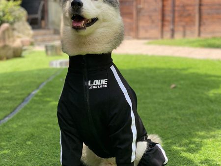 Dog Sweatshirt Zipper Dog Sport Suit Online now