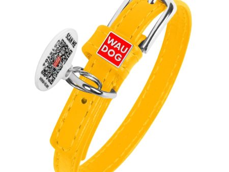 WAUDOG Glamour Leather Dog Collar 9mm 15mm 20mm 25mm 35mm Online now