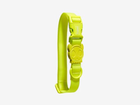 Zee.dog Neopro Collar - Lime Online Sale