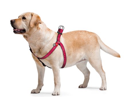 WAUDOG NYLON DOG HARNESS WITH QR PASSPORT,  WATERMELON Online Sale