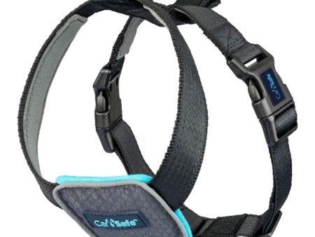 Company of Animals CarSafe Dog Travel Harness Online now