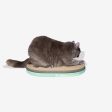 Zee.Cat Scratcher - Mint Online Hot Sale