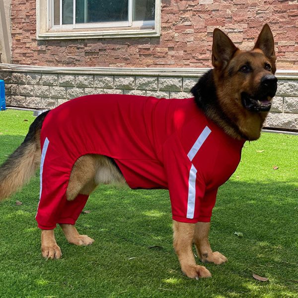 Dog Sweatshirt Zipper Dog Sport Suit Online now