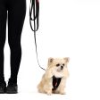 EzyDog Essential Lite Leash - Khaki Online Sale