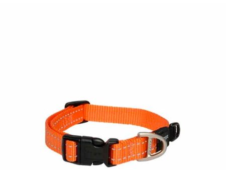 Rogz Utility Classic Collar - Orange Hot on Sale