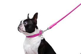 Leather leash for dogs WAUDOG Glamour round pink on Sale