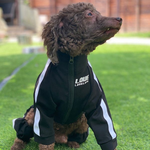 Dog Sweatshirt Zipper Dog Sport Suit Online now