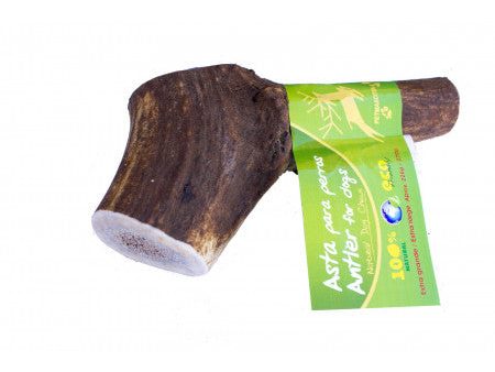 Antler dog chew. Size XL Hot on Sale