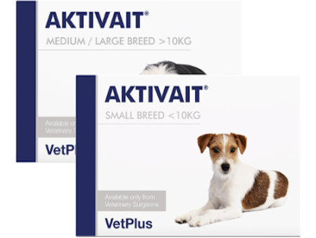 Aktivait for Small Breed Dogs Hot on Sale