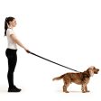 EzyDog Essential Leash - Black For Discount