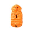 Aeon Hoodie - Orange Cheap