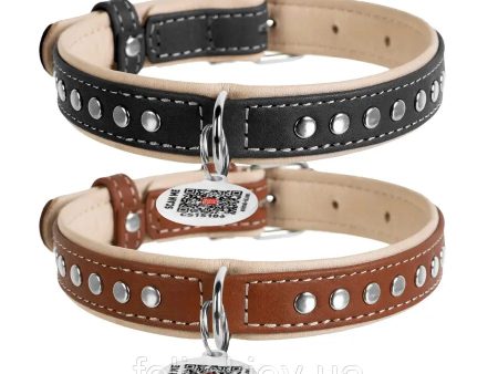 Collar for dogs leather WAUDOG Soft with QR-passport, metal decorations Online