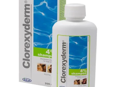 Clorexyderm 4% Shampoo for Dogs and Cats 200ml Online Hot Sale