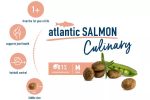 HAPPY CAT Culinary Adult Atlantic Salmon Online now