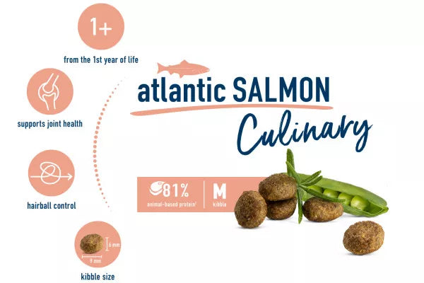 HAPPY CAT Culinary Adult Atlantic Salmon Online now