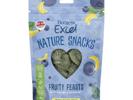 Burgess Excel Fruity Feasts with Banana and Blueberry 60g Hot on Sale