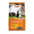 Burgess Excel Guinea Pig Nuggets with Mint 2kg Online Sale