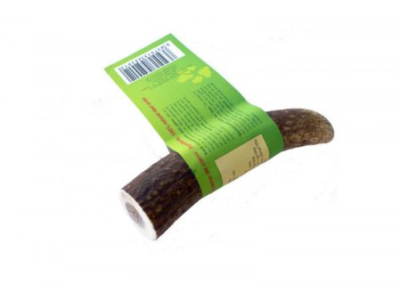 Antler dog chew. Size S Online