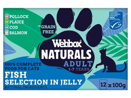 Webbox Natural Complete Fish Selection In Jelly For Cheap